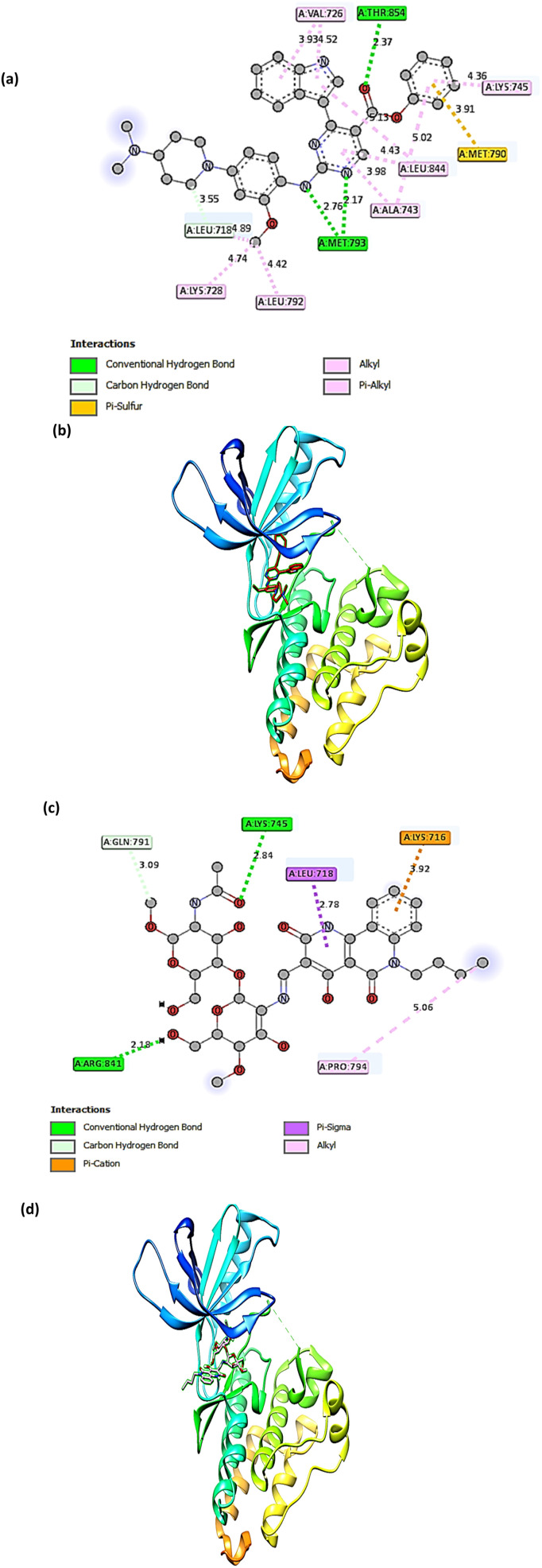 Fig. 8