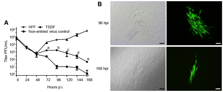 Fig. 4