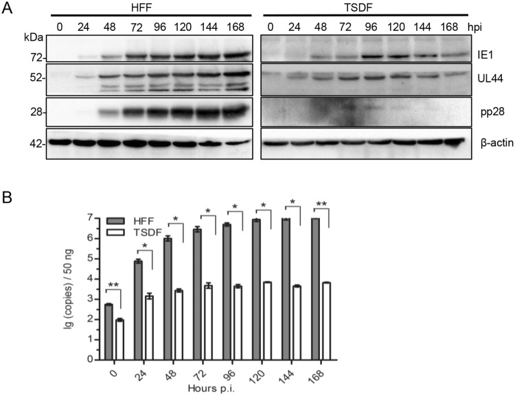 Fig. 3