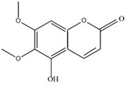 graphic file with name fphar-11-00347-g025.jpg