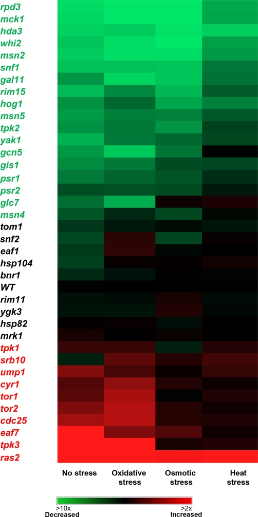 FIGURE 2: