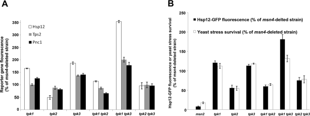 FIGURE 6: