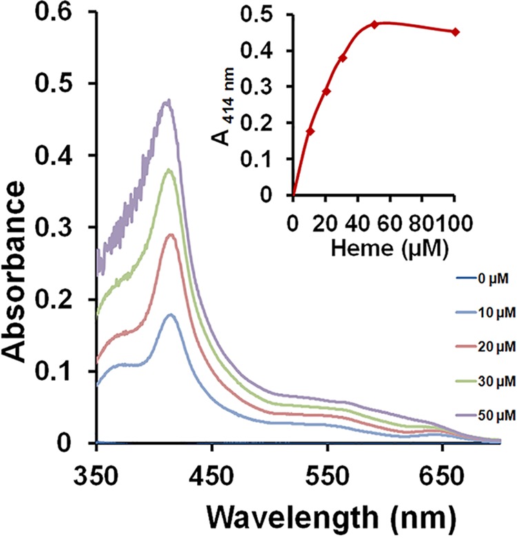 FIG 3