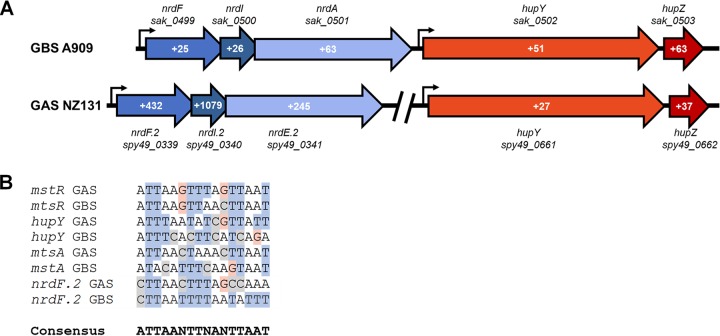 FIG 2