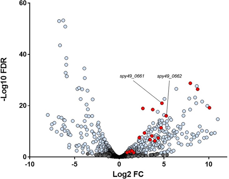 FIG 1