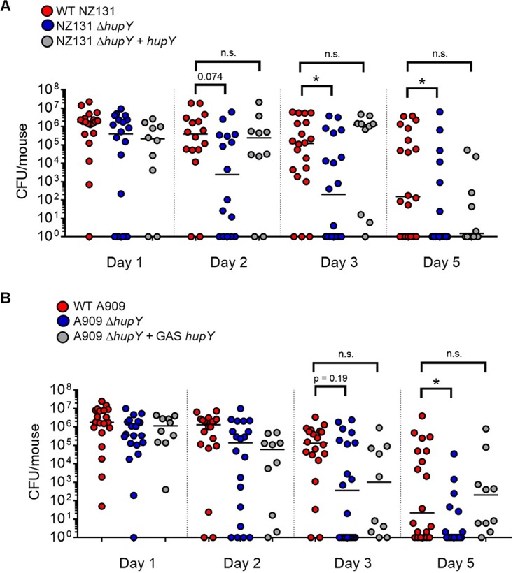 FIG 6