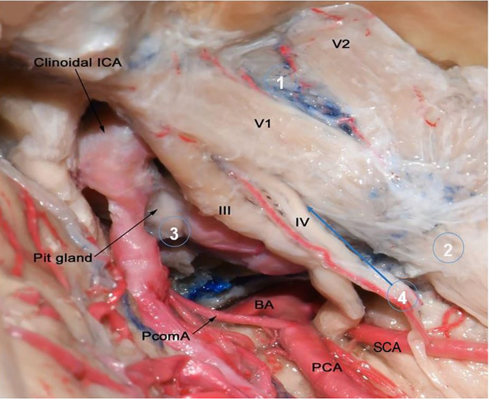 Figure 6