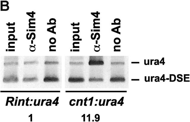 Figure 5.