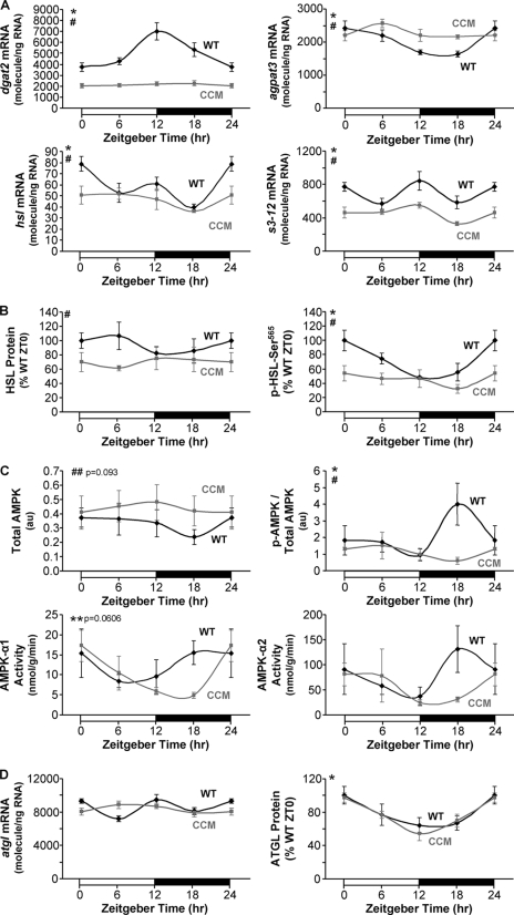 FIGURE 4.