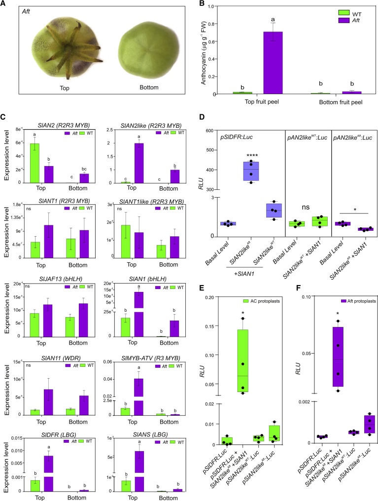 Figure 3