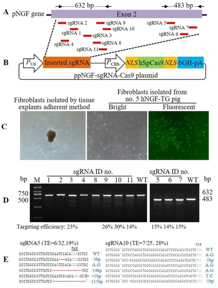 Figure 6