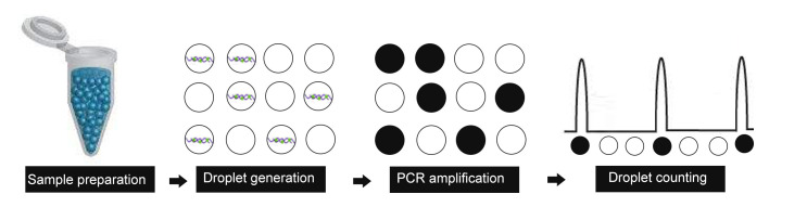 graphic file with name BioProtoc-12-23-4567-ga001.jpg