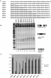 FIG.4.