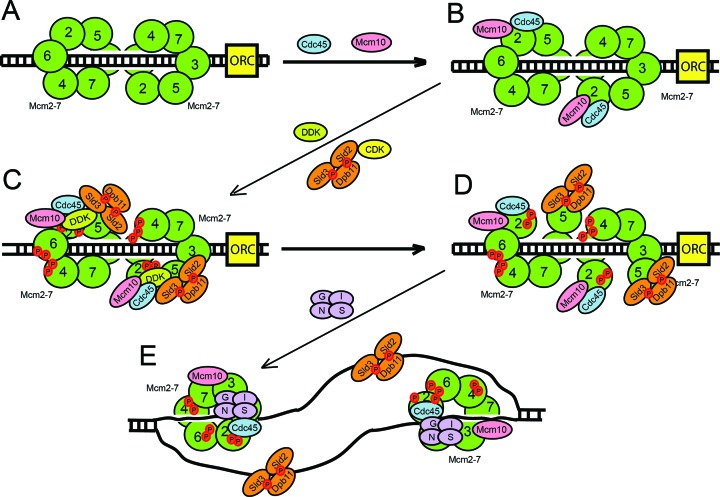 Figure 7.