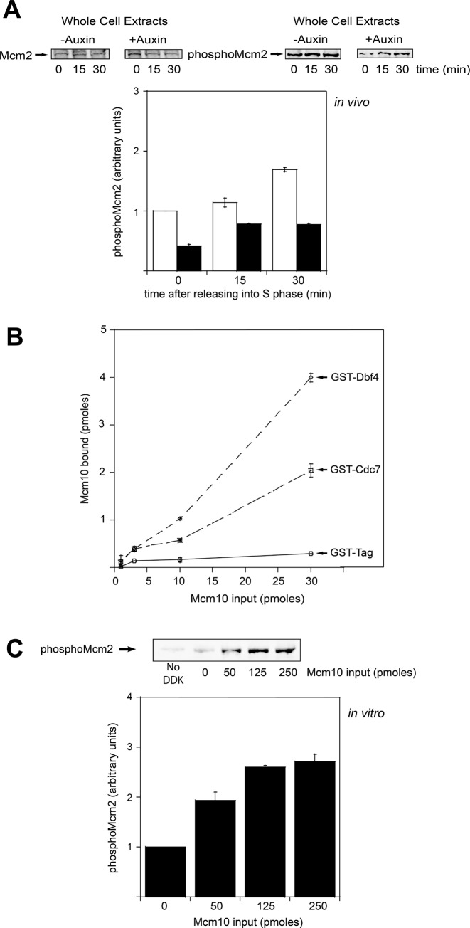 Figure 3.