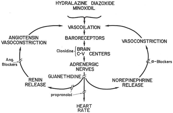 FIG 2