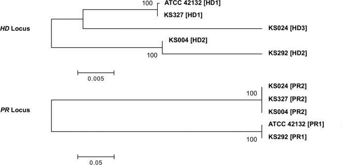 Figure 7.