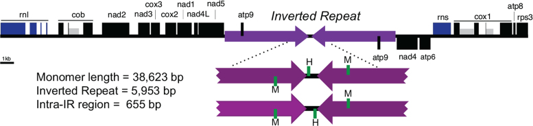 Figure 6.