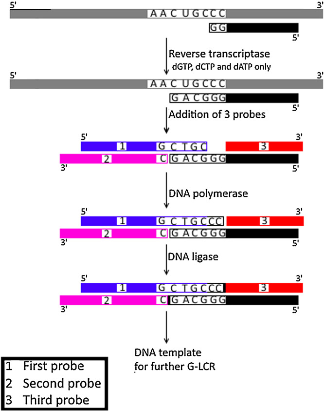 Fig. 3