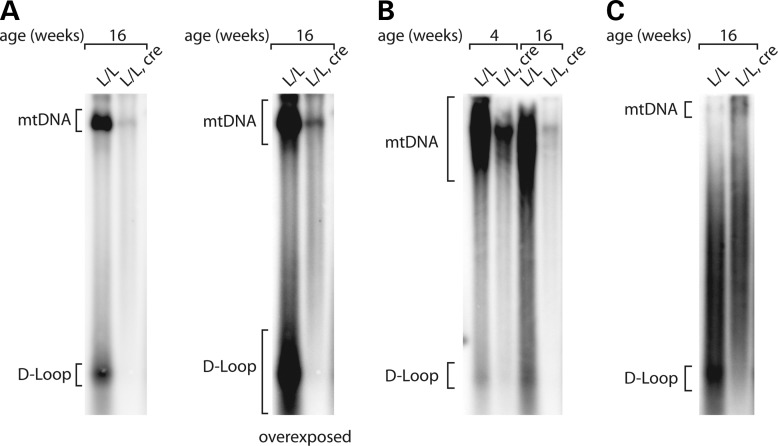 Figure 3.