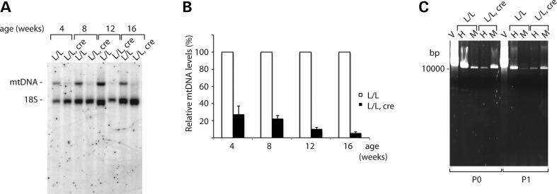 Figure 2.