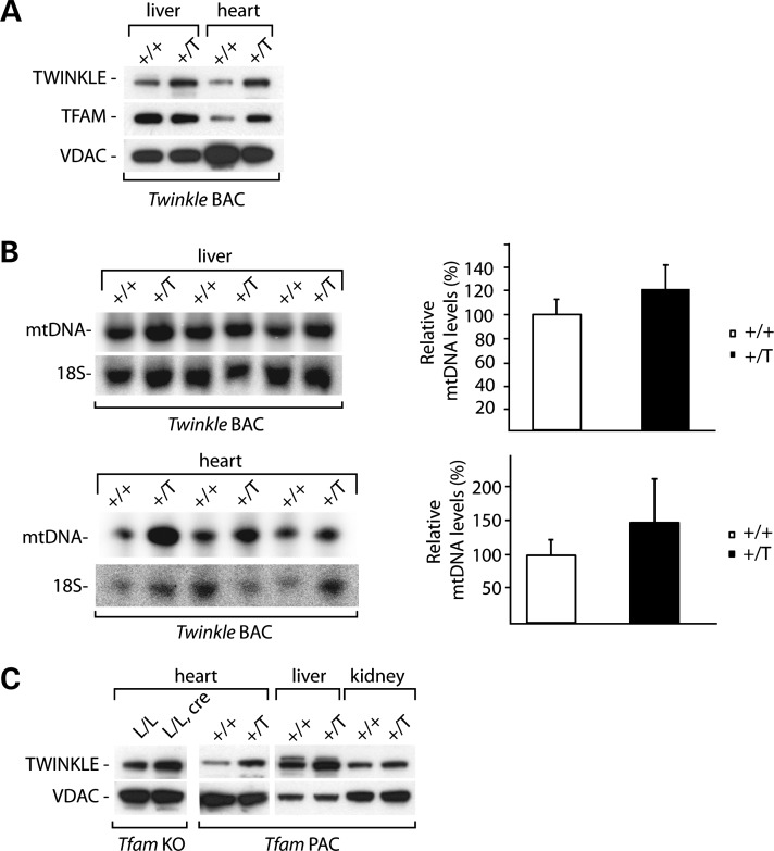 Figure 6.