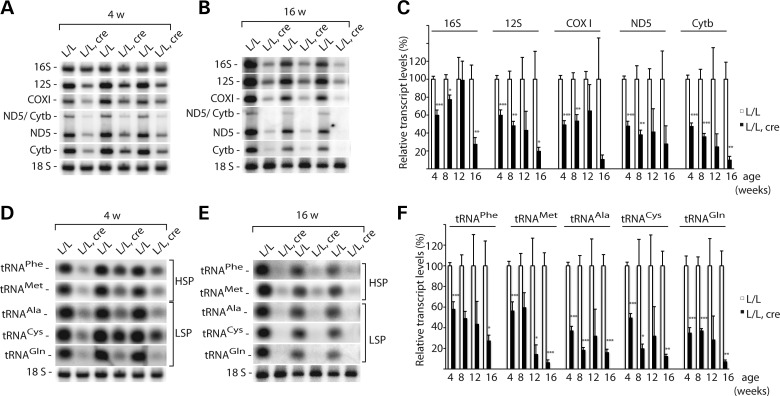 Figure 4.