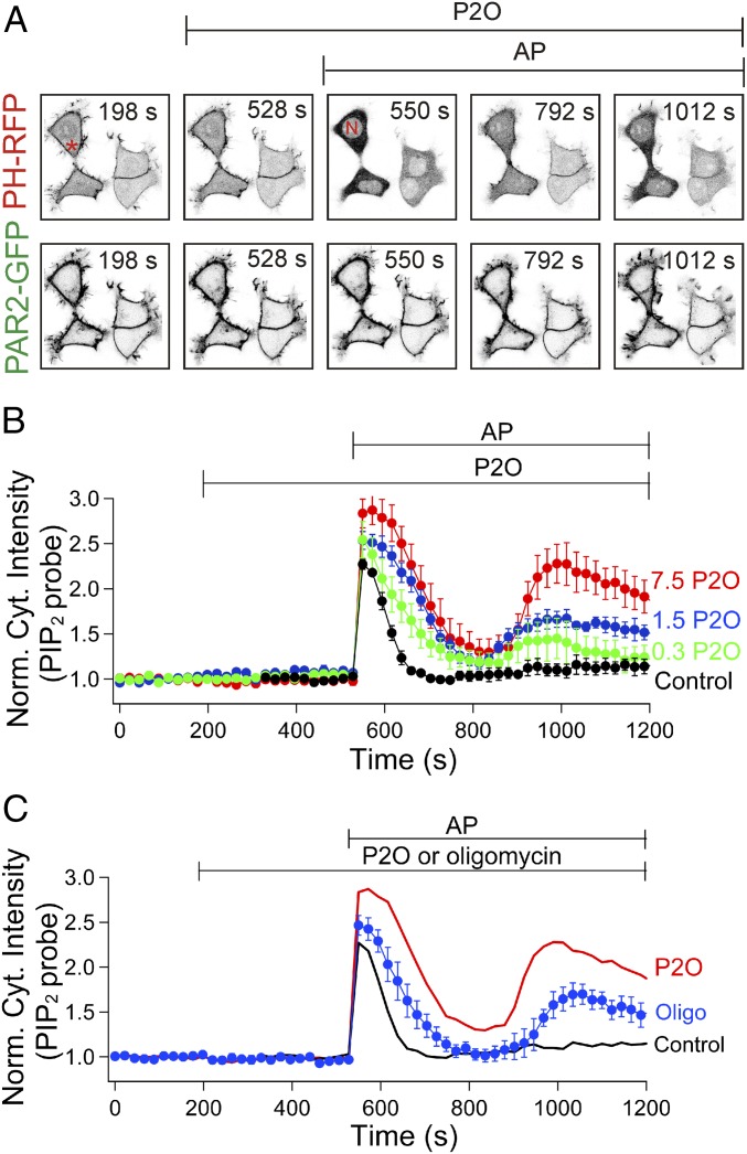 Fig. 4.