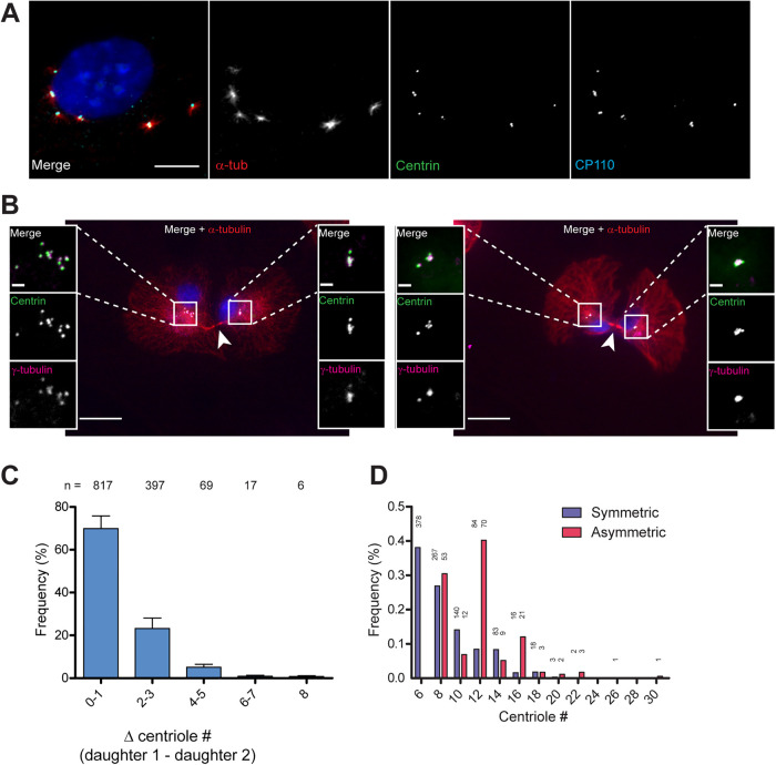 FIGURE 3: