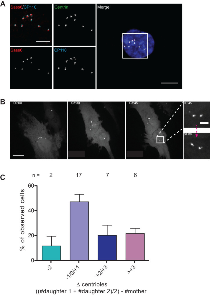 FIGURE 2: