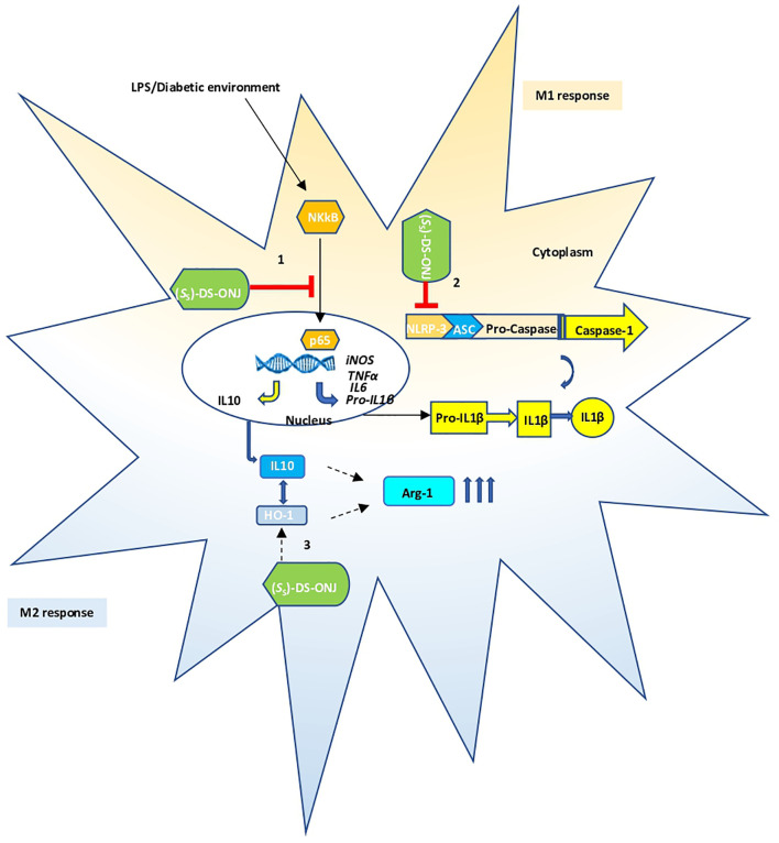 Figure 7