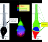 Figure 3.