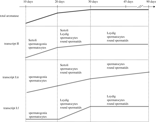 Figure 1.