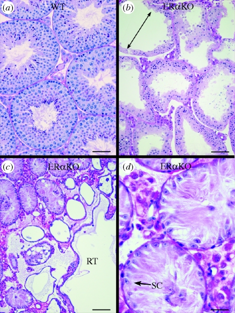 Figure 5.