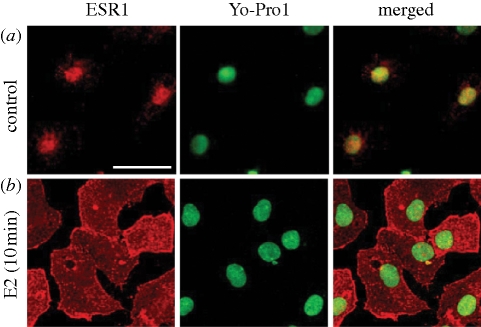 Figure 6.