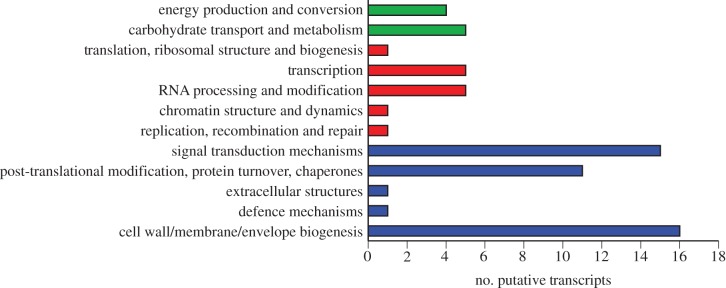 Figure 6.