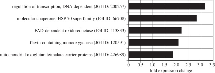 Figure 4.