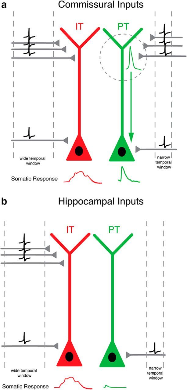 Figure 9.