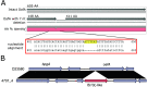 FIG 2