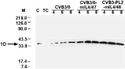 FIG. 3