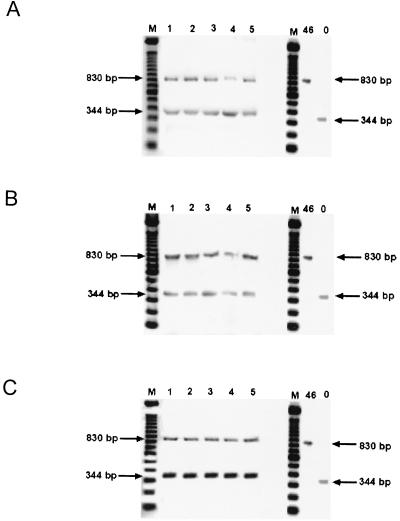 FIG. 5