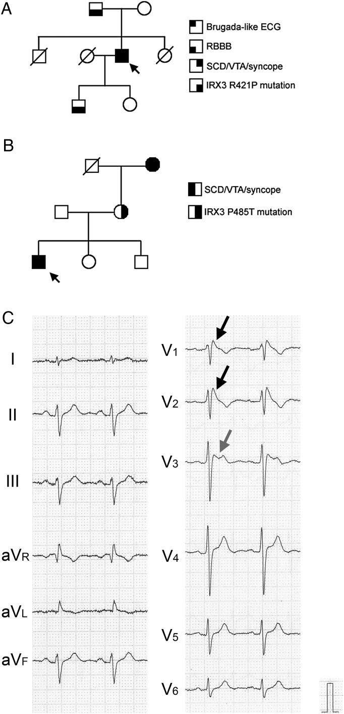 Figure 3