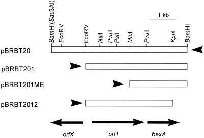 FIG. 1