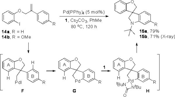 Scheme 5