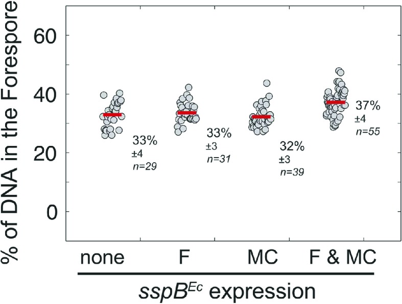 Figure 7—figure supplement 2.