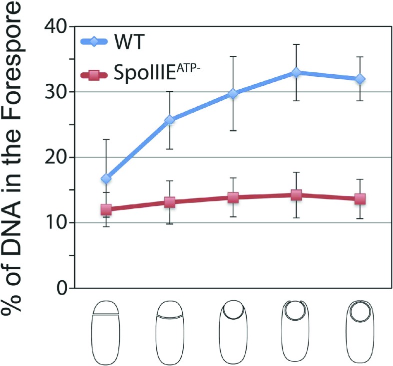 Figure 7—figure supplement 1.