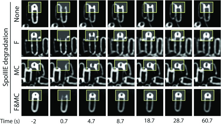 Figure 6—figure supplement 2.