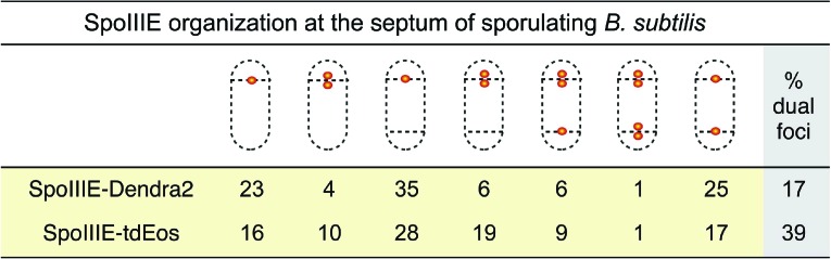 Figure 4—figure supplement 4.