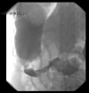Figure 3: