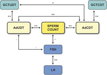 Fig. 12